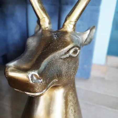 ベッド・アンド・ブレックファスト Cha Cha De Loup Luxe - Vakantiewoning 4*