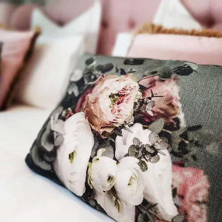 Bed & Breakfast Cha Cha De Loup Luxe - Vakantiewoning *
