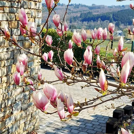 Cha Cha De Loup Luxe - Vakantiewoning ベッド・アンド・ブレックファスト