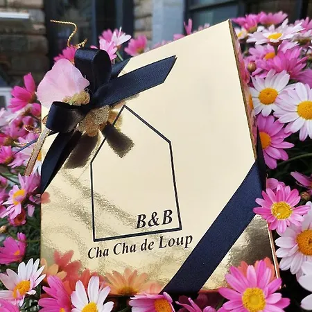 Cha Cha De Loup-b&b-vakantiewoning Met Verwarmd Binnenzwembad En Groot Zonneterras In De Ardennen Bed and Breakfast 4*