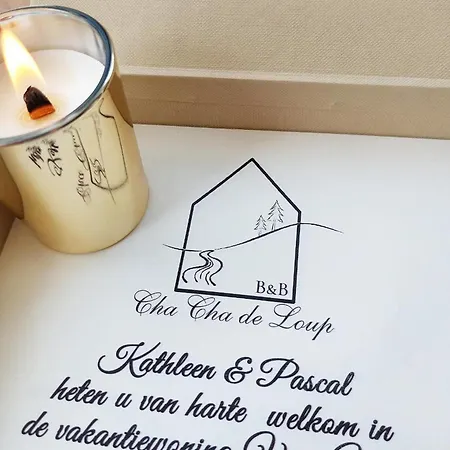 Cha Cha De Loup-b&b-vakantiewoning Met Verwarmd Binnenzwembad En Groot Zonneterras In De Ardennen 4* Rendeux