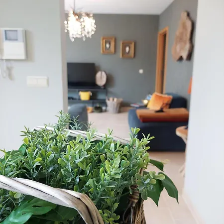 Cha Cha De Loup-b&b-vakantiewoning Met Verwarmd Binnenzwembad En Groot Zonneterras In De Ardennen Bed and Breakfast 4*