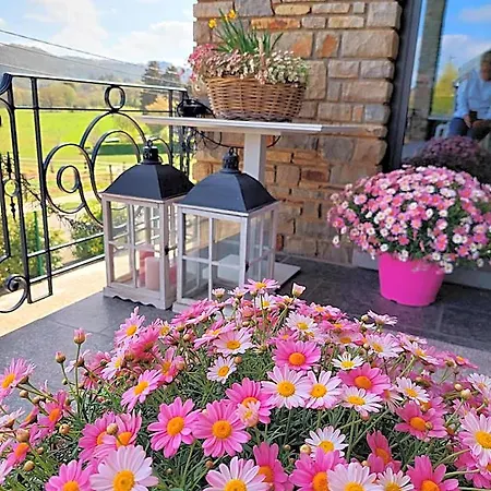 Cha Cha De Loup-b&b-vakantiewoning Met Verwarmd Binnenzwembad En Groot Zonneterras In De Ardennen 4*