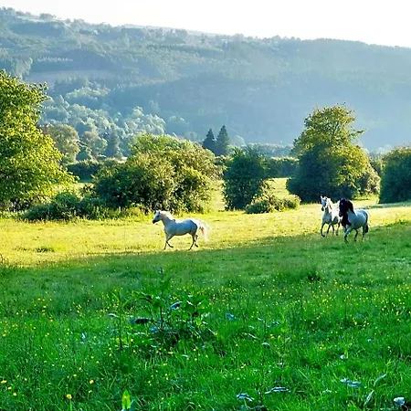 Cha Cha De Loup-b&b-vakantiewoning Met Verwarmd Binnenzwembad En Groot Zonneterras In De Ardennen 住宿加早餐酒店 伦德科斯
