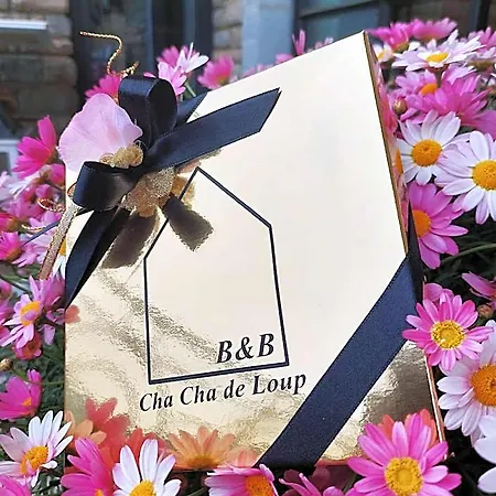 住宿加早餐酒店 Cha Cha De Loup-b&b-vakantiewoning Met Verwarmd Binnenzwembad En Groot Zonneterras In De Ardennen